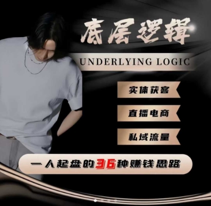 一个人起盘的底层逻辑，私域流量-直播电商-实体获客，一人起盘的36种賺钱思路-情久项目网