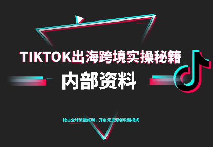 TikTok跨境电商0-1搭建运营(更新10月)-情久项目网