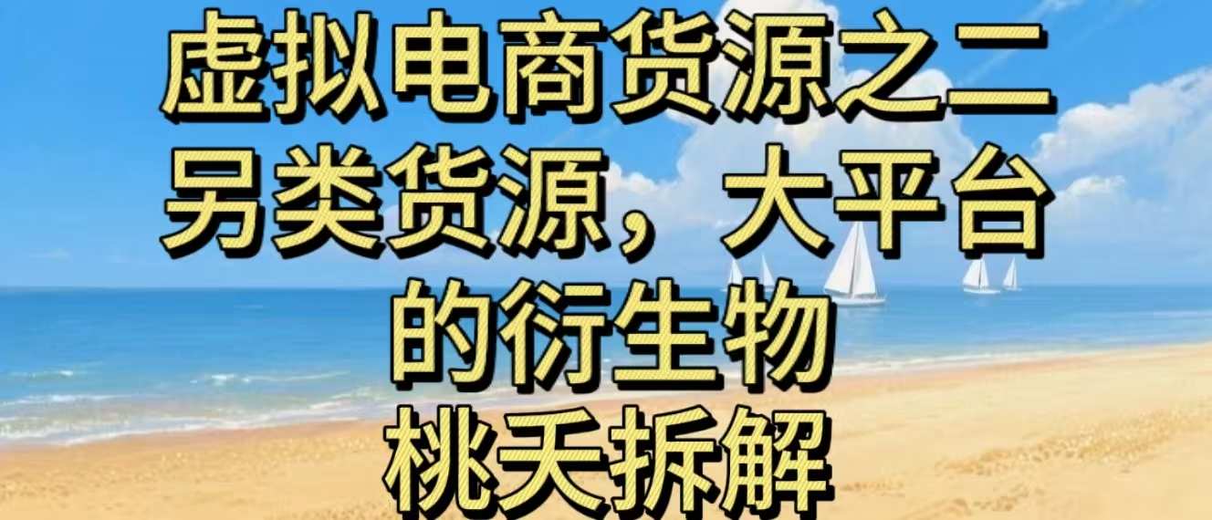 虚拟电商之二—另类的货源，大平台的衍生物-情久项目网