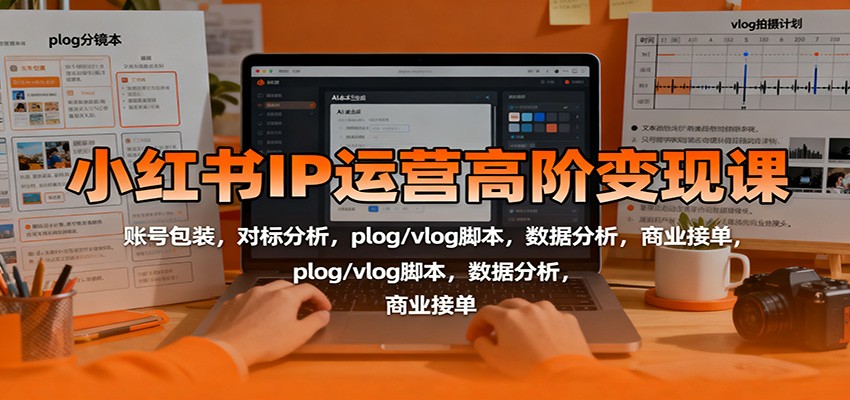 小红书IP运营高阶变现课：账号包装，对标分析，plog/vlog脚本，数据分析，商业接单-情久项目网