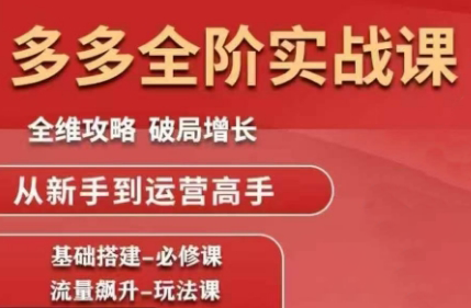 大炮·拼多多全阶实战课程(更新10月)-情久项目网