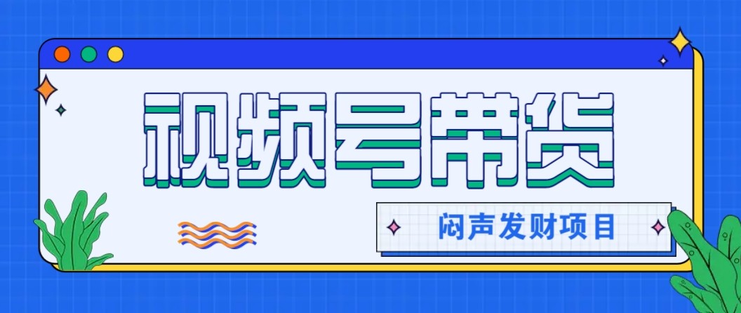 微信视频号带货项目，轻松日赚赚2000+，这个挣钱入口很多伙伴都在闷声发财-情久项目网