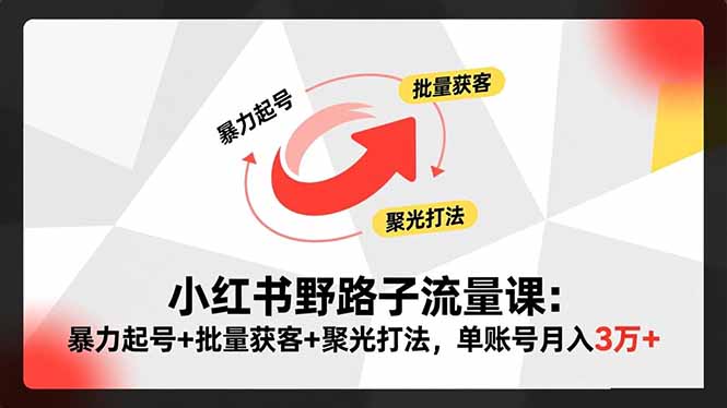 小红书野路子流量课：暴力起号+批量获客+聚光打法，单账号月入3万+-情久项目网