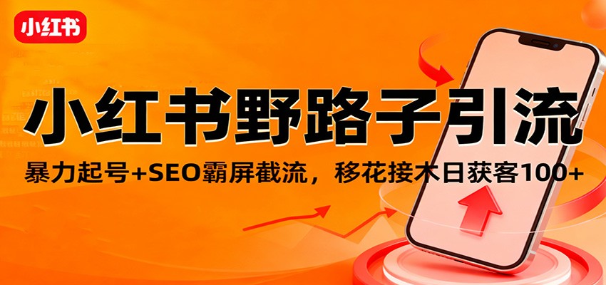 小红书野路子引流，暴力起号+SEO霸屏截流，移花接木日获客100+-情久项目网