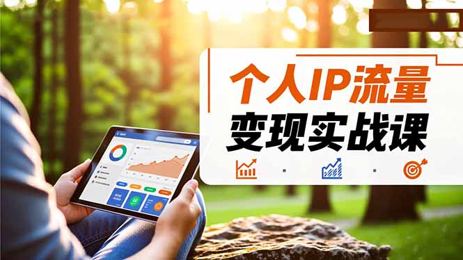 个人IP流量变现实战课，涵盖多平台引流、打造个人IP并实现稳定流量变现-情久项目网