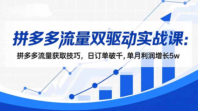 拼多多流量双驱动实战课：拼多多流量获取技巧，日订单破千,单月利润增长5w-情久项目网