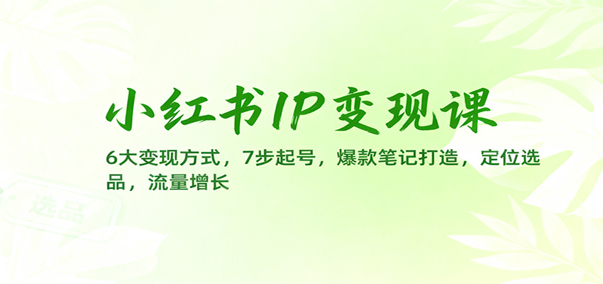 小红书IP变现课：6大变现方式，7步起号，爆款笔记打造，定位选品，流量增长-情久项目网