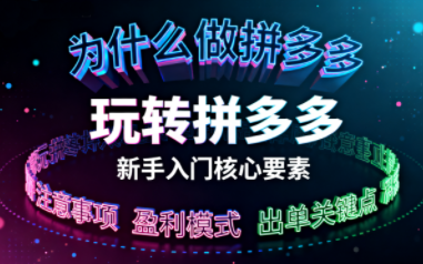 新手小白如何做拼多多-情久项目网