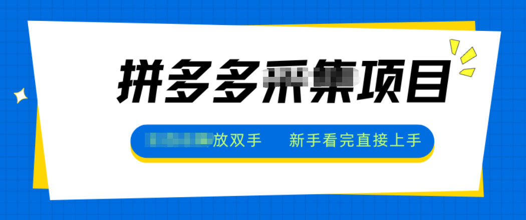 拼多多电商采集，一小时50+，操作简单，零投资-情久项目网