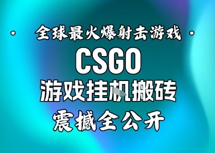 【年底大揭秘】基于全球最火爆的射击CSGO游戏挂G搬砖，日入5张+，震撼公开-情久项目网