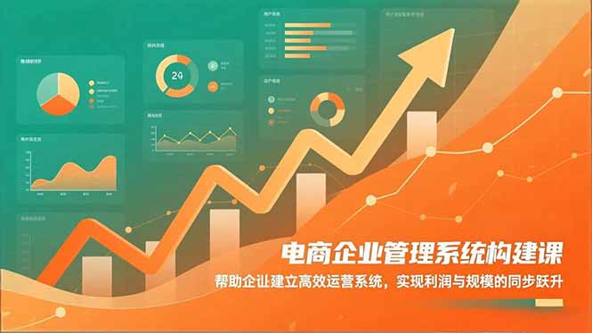 电商企业管理系统构建课：帮助企业建立高效运营系统，实现利润与规模的同步跃升-情久项目网