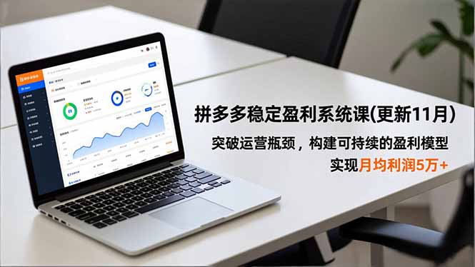 拼多多稳定盈利系统课(更新11月-情久项目网
