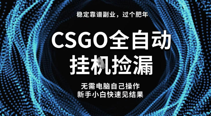 【稳定副业】全球最热门游戏CSGO全自动捡漏，最新玩法，新手小白日入5张+【揭秘】-情久项目网