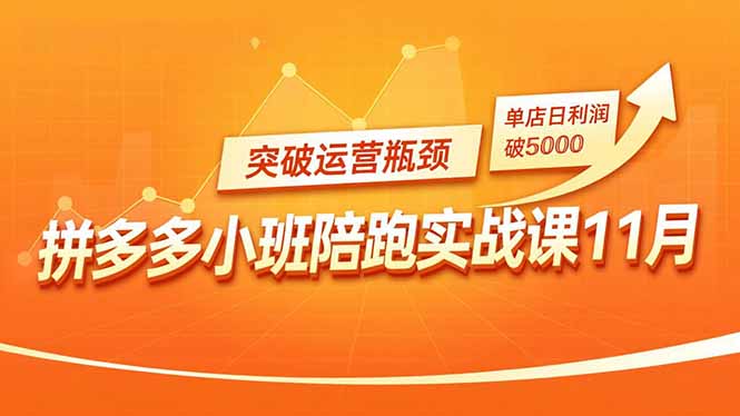 拼多多小班陪跑实战课11月，强付费矩阵、原价活动、暗券引流，突破运营瓶颈，单店日利润破5000-情久项目网