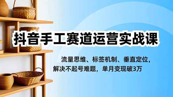 抖音手工赛道运营实战课，流量思维、标签机制、垂直定位，解决不起号难题，单月变现破3万-情久项目网