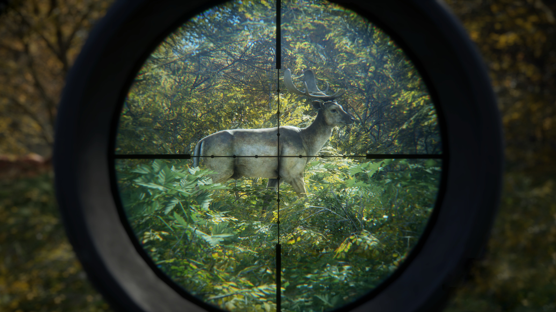 《猎人：荒野的召唤/theHunter: Call of the Wild》PC中文版下载-含v3101875-情久项目网
