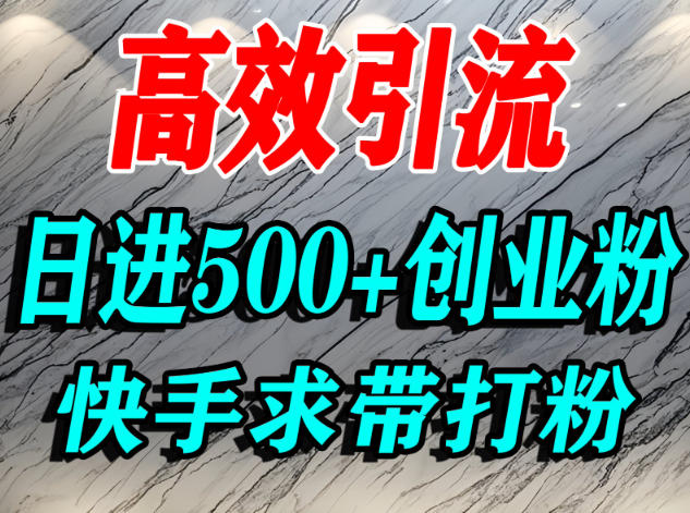 怎么打创业粉？快手求带视角精准引流创业粉，宝妈、学生群体日进500+精准流量-情久项目网