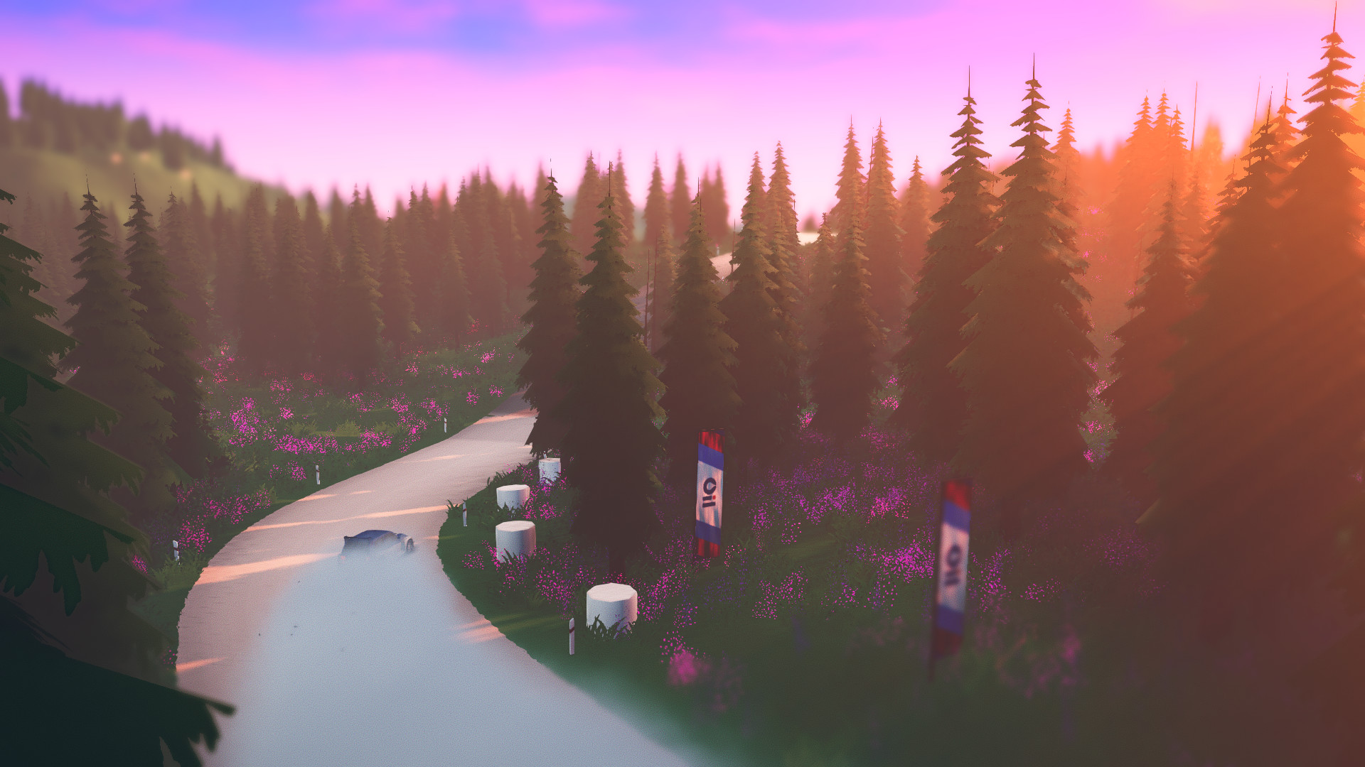 《拉力赛艺术 art of rally》Switch中文版NSZ下载 – 含1.1.9补丁-情久项目网