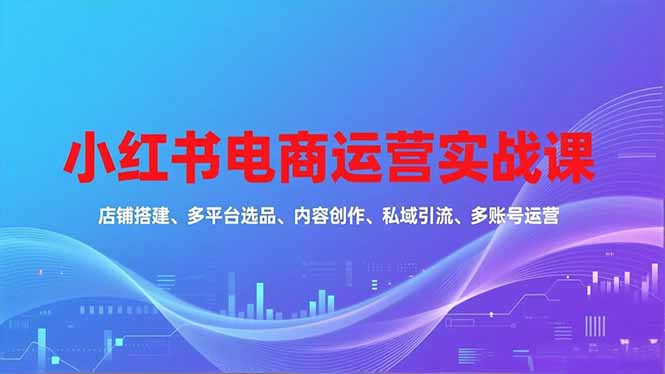 小红书电商运营实战课，店铺搭建、多平台选品、内容创作、私域引流、多账号运营等玩法-情久项目网
