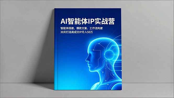 AI智能体IP实战营，智能体搭建、爆款文案、工作流构建，30天打造高成交IP月入50万-情久项目网