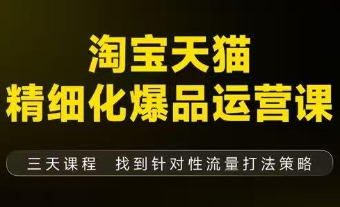 猫课子幽·淘宝天猫精细化爆品运营【音频+字幕+文档】(9月12-14杭州线下课)-情久项目网