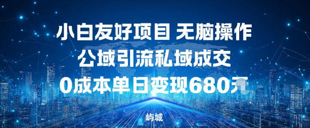 小白友好项目，无脑操作，公域引流私域成交，0成本单日变现680米-情久项目网