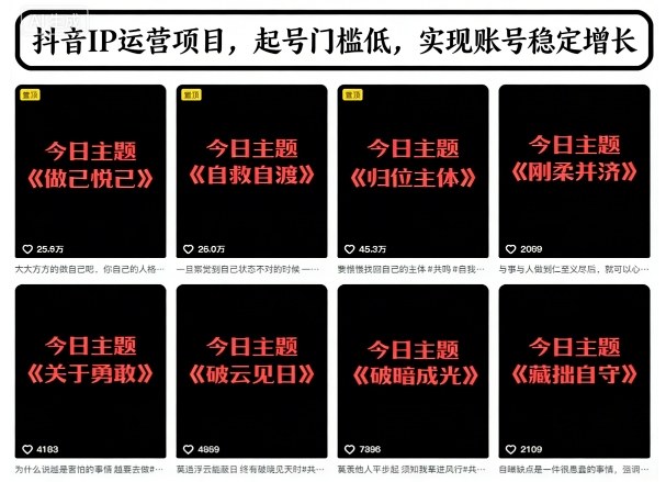 抖音IP运营项目，抖音今日主题玩法，起号门槛低，实现账号稳定增长-情久项目网