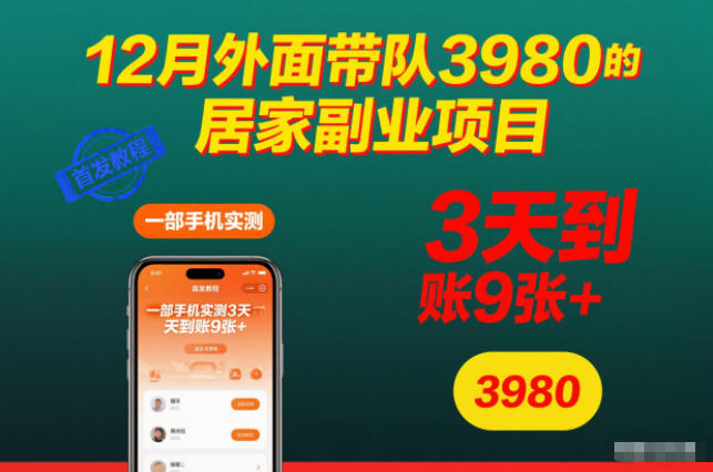 12月外面带队3980的居家副业项目，一部手机实测3天到账9张+，首发教程【揭秘】-情久项目网