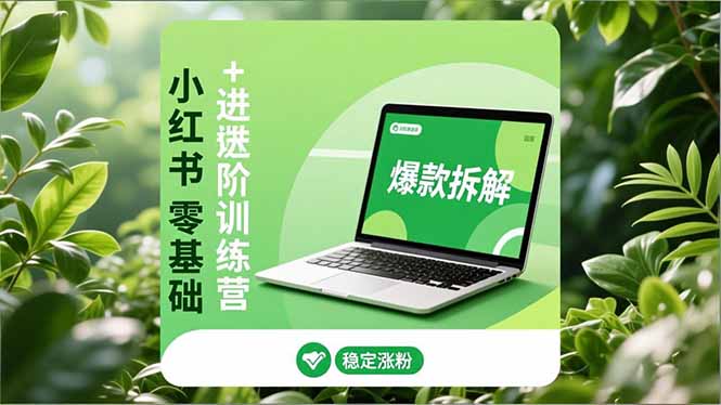 小红书零基础+高阶训练营：安全养号、爆款拆解、长效运营，实现稳定涨粉与变现-情久项目网