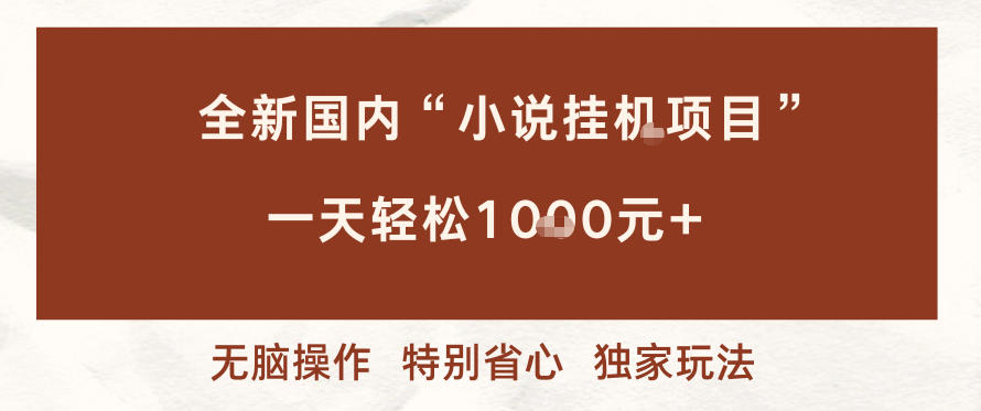 全新国内小说挂G项目，多窗口无脑跑，一天轻松1k+，特别省心【揭秘】-情久项目网