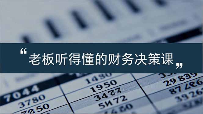 老板能听得懂的财务决策课，报表解读、数据洞察、风险识别，用财务驱动业务增长-情久项目网