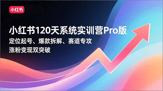 小红书120天系统实训营Pro版，定位起号、爆款拆解、赛道专攻，实现涨粉变现双突破-情久项目网