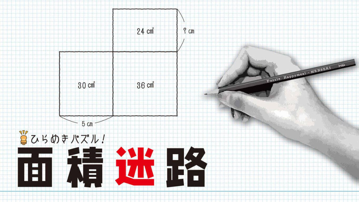 《闪烁的拼图 面积迷宫 MENSEKI Area maze puzzles》Switch英日文版NSZ下载-情久项目网