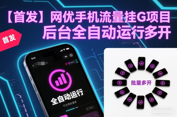 【首发】网优手机流量挂G项目，后台全自动运行，可无限批量多开【揭秘】-情久项目网
