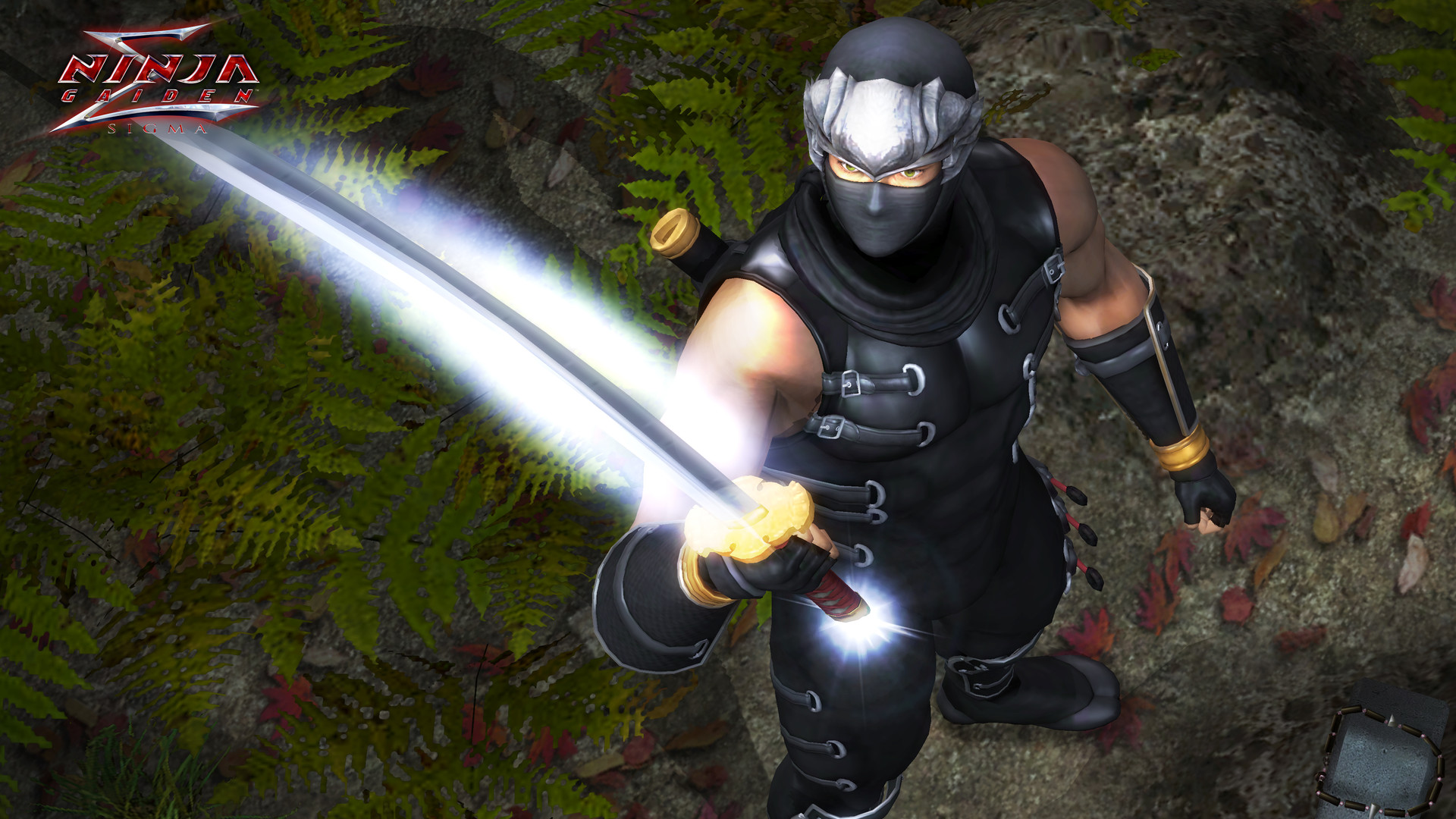 《忍者龙剑传：大师合集/NINJA GAIDEN: Master Collection》PC中文版下载-含v1.0.0.3-情久项目网