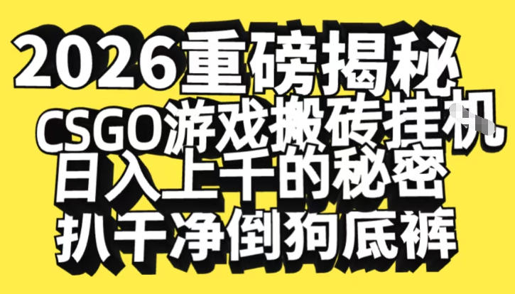 2026开年重磅解密，CSGO游戏搬砖挂G日入1k+的秘密，把倒狗的底裤扒干【揭秘】-情久项目网