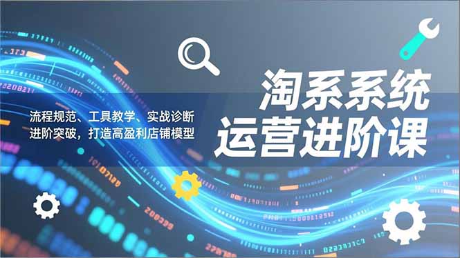 淘系系统运营进阶课2.0，流程规范、工具教学、实战诊断，进阶突破，打造高盈利店铺模型-情久项目网