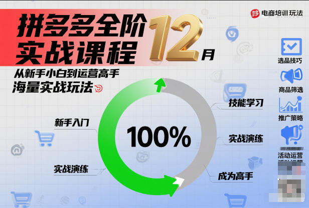 拼多多全阶实战课程12月，从新手小白到运营高手，海量实战玩法-情久项目网
