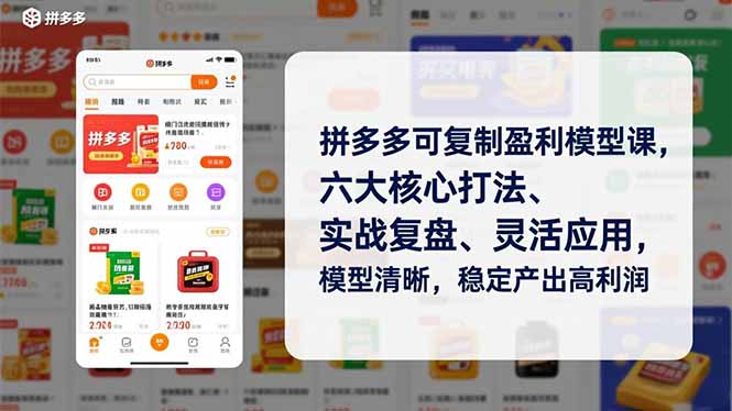 拼多多可复制盈利模型课，六大核心打法、实战复盘、灵活应用，模型清晰，稳定产出高利润-情久项目网