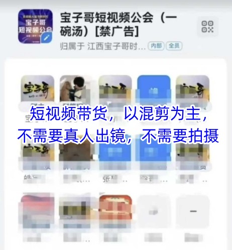 宝子哥头部团队短视频带货，以混剪为主，不需要真人出镜，不需要拍摄【更新12月】-情久项目网