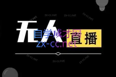 宝子哥·无人直播-非实时防风技术(更新2026)-情久项目网