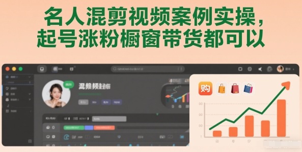 名人混剪视频案例实操，起号涨粉橱窗带货都可以-情久项目网