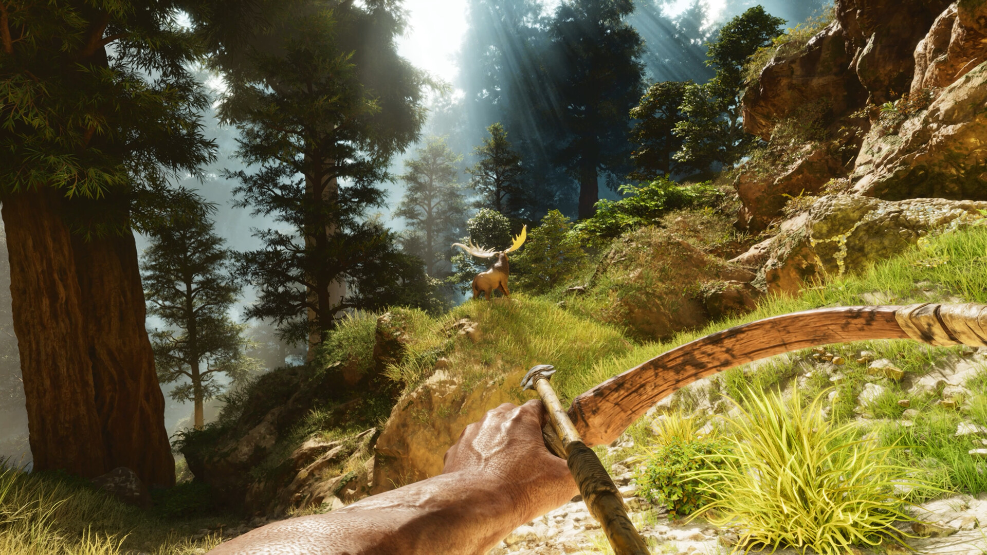 PC游戏《方舟: 生存飞升/ARK: Survival Ascended》中文v77.54下载-情久项目网