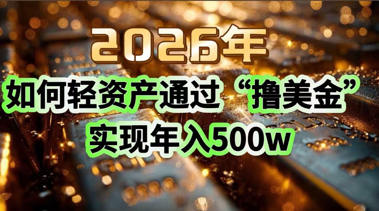 2026年如何轻资产通过“撸美金”实现年入500w-情久项目网