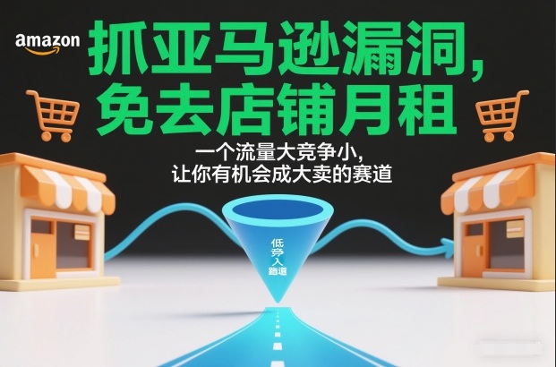 抓亚马逊漏洞，免去店铺月租，一个流量大竞争小，让你有机会成大卖的赛道-情久项目网