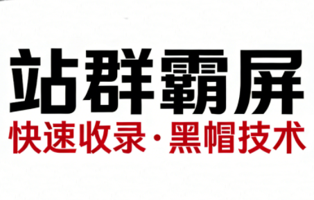 SEO野路子实战全集：快速收录、站群霸屏、黑帽技术-情久项目网