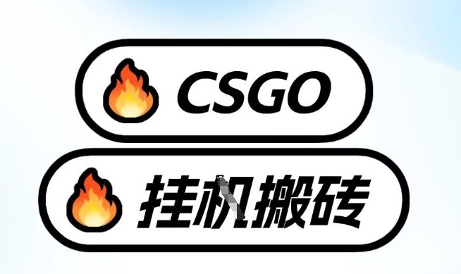 真全网独家CSGO挂G，最新玩法,单日捡漏1K+，不用电脑，不用打游戏【揭秘】-情久项目网