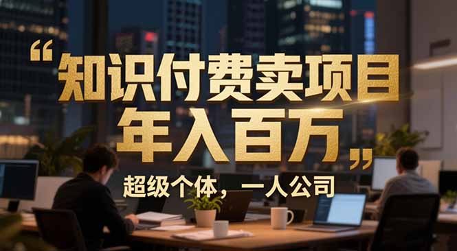 从0到年入百万：超级个体实战心得公开，个人IP×精准引流×成交系统全拆解-情久项目网