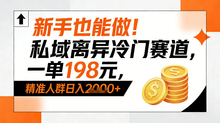 新手也能做！私域离异冷门赛道，一单198，精准人群日入1k+-情久项目网