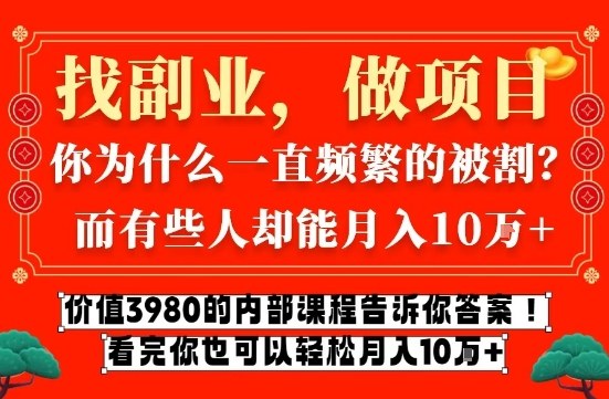 价值3980的网创内部课程，告诉你互联网创业月入10个W的秘密【揭秘】-情久项目网
